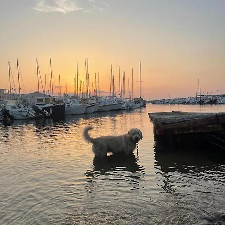 House Gaudio 38 Apartamento *