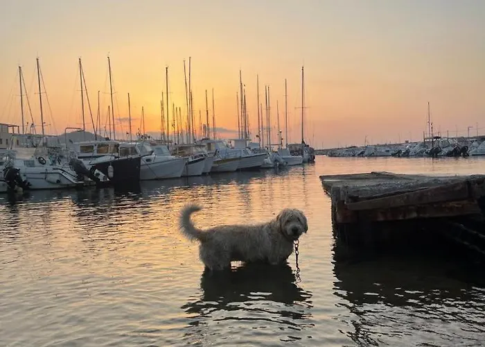 House Gaudio 38 Apartamento *